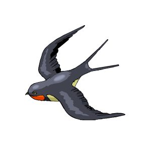 Swallow PNG-67350